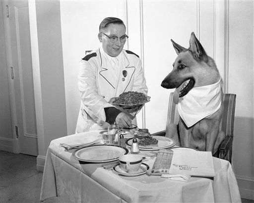 1956: Animal Stars